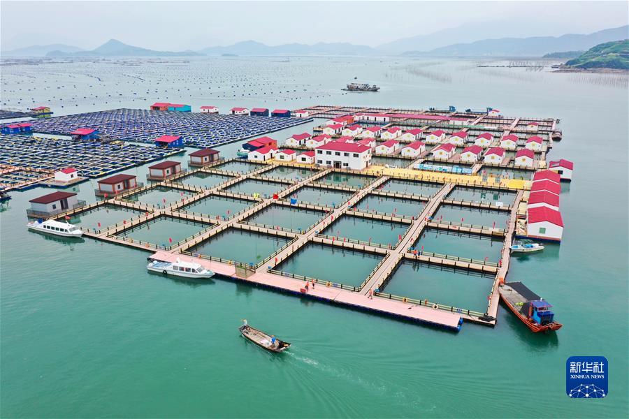 （新華全媒頭條·奮進(jìn)新征程 建功新時代·非凡十年·圖文互動）（8）福建：搶抓機(jī)遇謀發(fā)展 奮力譜寫新篇章