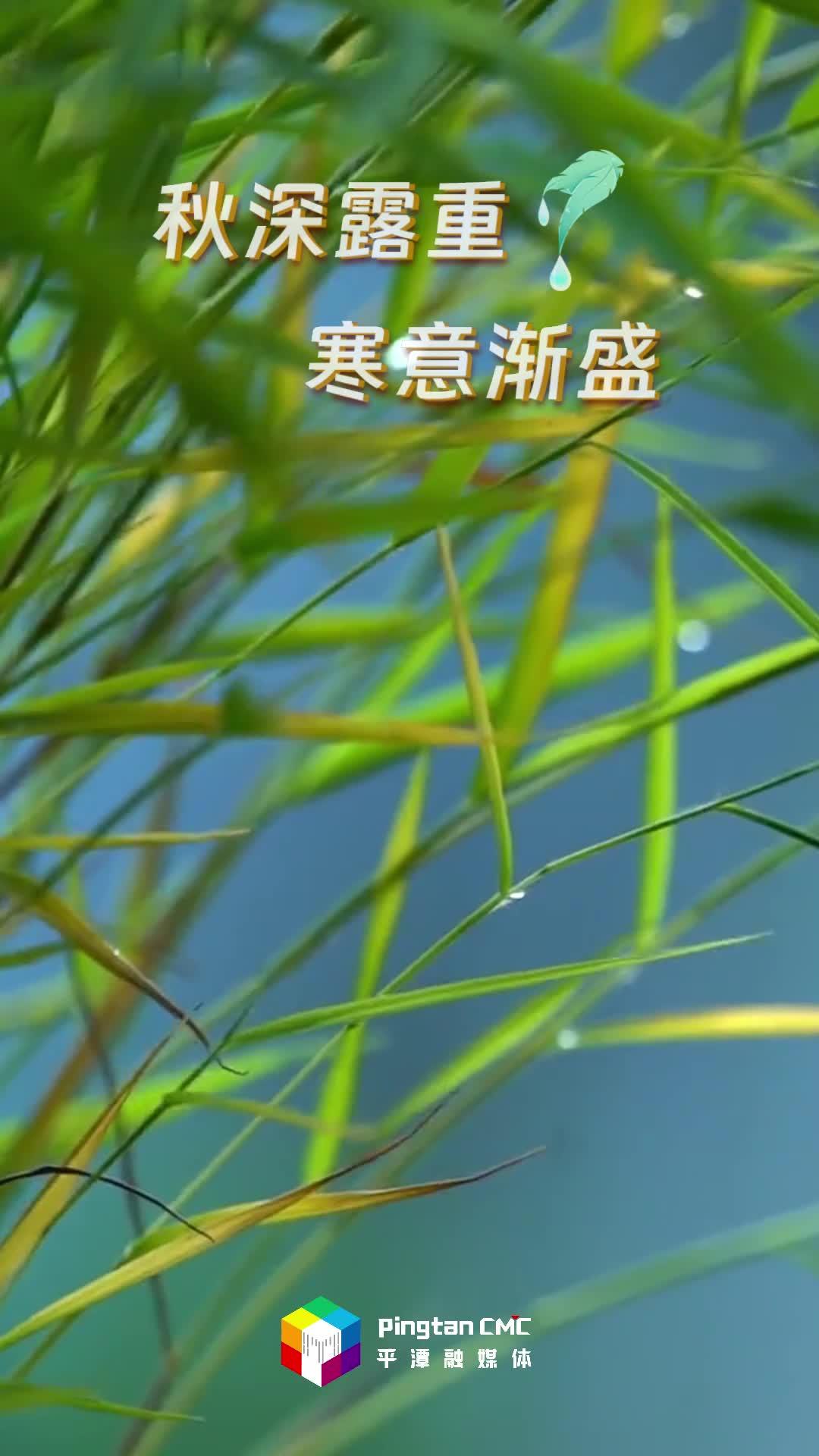 24節(jié)氣丨寒露：漫步在平潭，海島秋光無限好