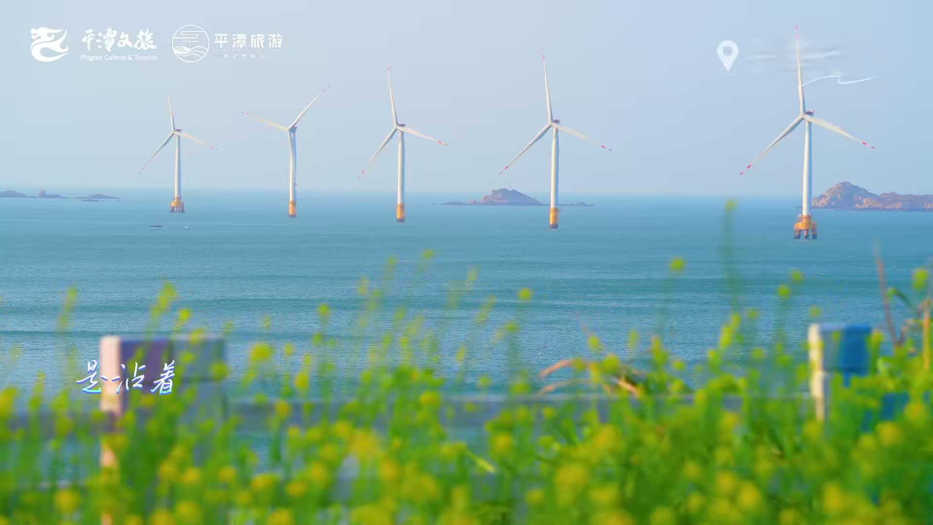 平潭油菜花海，被我發(fā)現(xiàn)了！