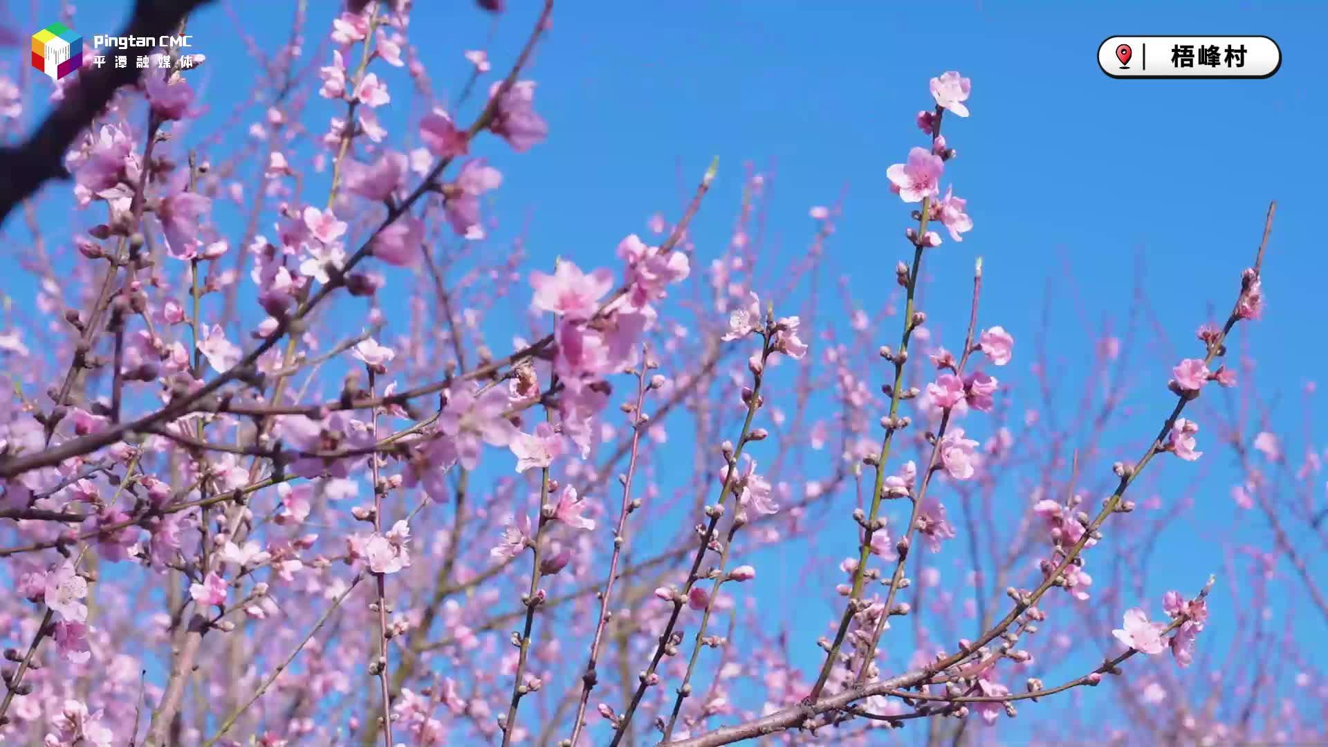 春天，向平潭出發(fā)