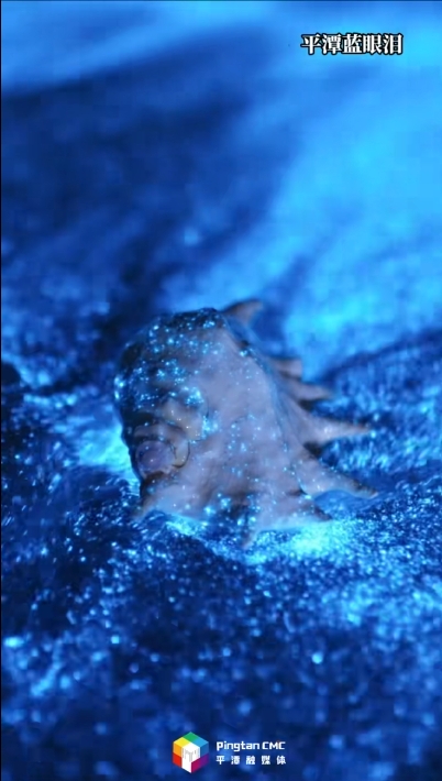 一張機票的事，和自己喜歡的人，來平潭追藍眼淚吧