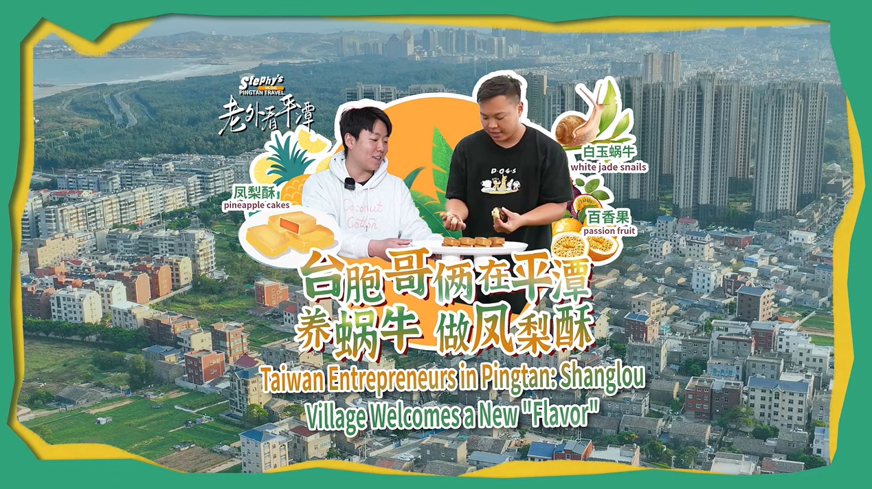 老外看平潭丨臺(tái)胞哥倆在平潭養(yǎng)蝸牛、做鳳梨酥