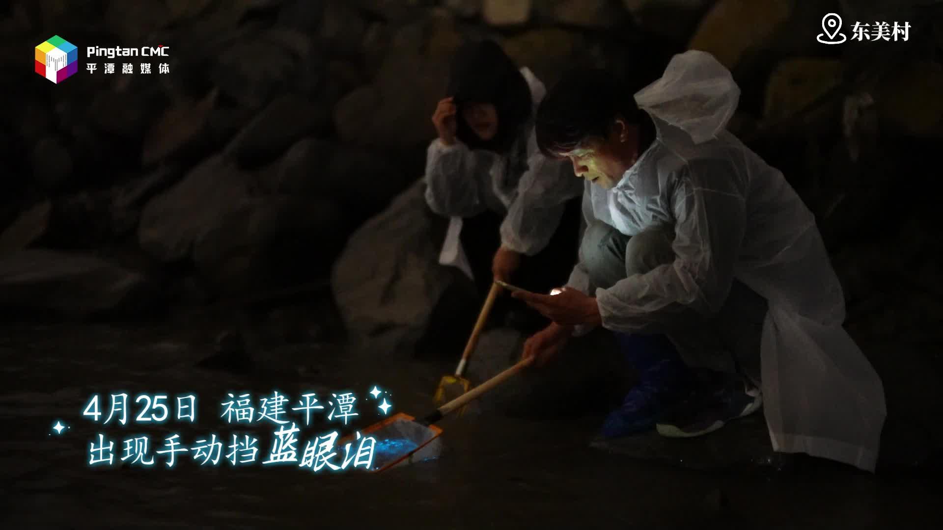 平潭東美村藍(lán)眼淚手動(dòng)“上線”