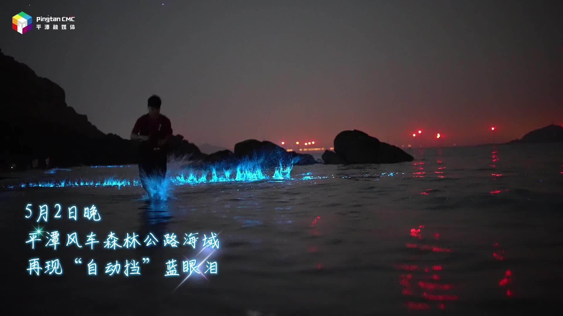 平潭“自動檔”藍眼淚 只為你心動的那一眼